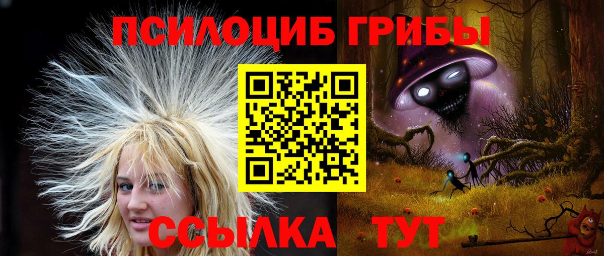 Галлюциногенные грибы мицелий  Галлюциногенные грибы ЛСД  Гусев 