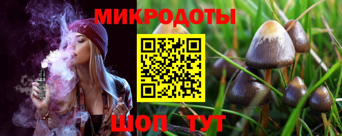Гусев  Псилоцибиновые грибы прущие грибы  Вход с VPN 